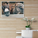 5D DIY Smile Donkey Full Round Drill Diamond Painting Art Embroidery Home Decor