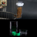 Parrot Feeder Cockatiel Water Dispenser Parakeet Bird Food Feeder Automatic