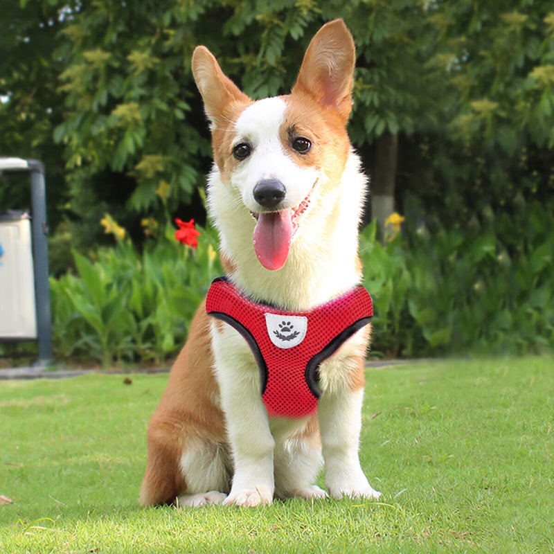 Polyester Cat Dog Harness Breathable Walking Lead Leash Dog Cat Vest for Outdoor