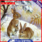5D DIY Diamond Painting Snow Bunny Full Round Drill Mosaic Art Picture Decor