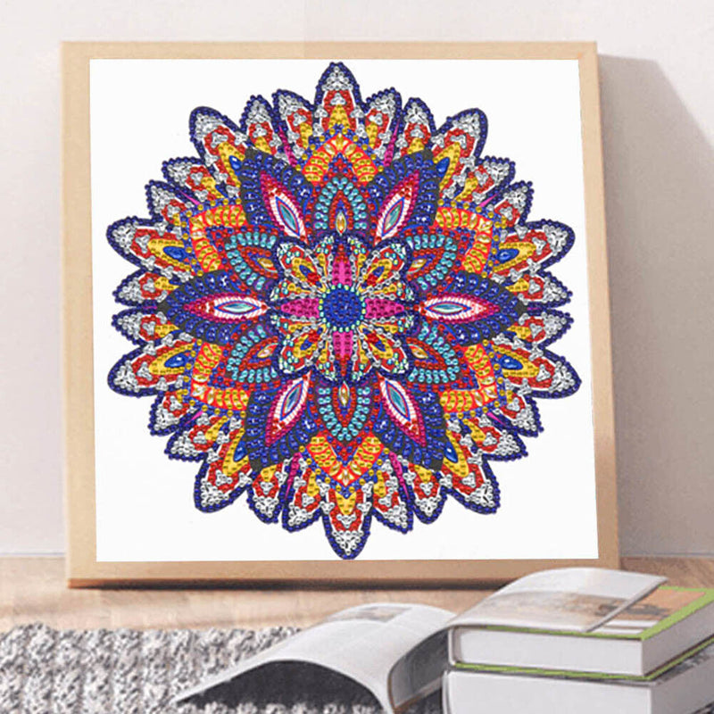 Partial Drill 5D Special Shape Diamond Painting Abstract Mandala Kit (X053)