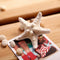 Elegant Beach Girls Lady Hairpin Star Sea Starfish Hair Clip Jewelry For 2 Pcs