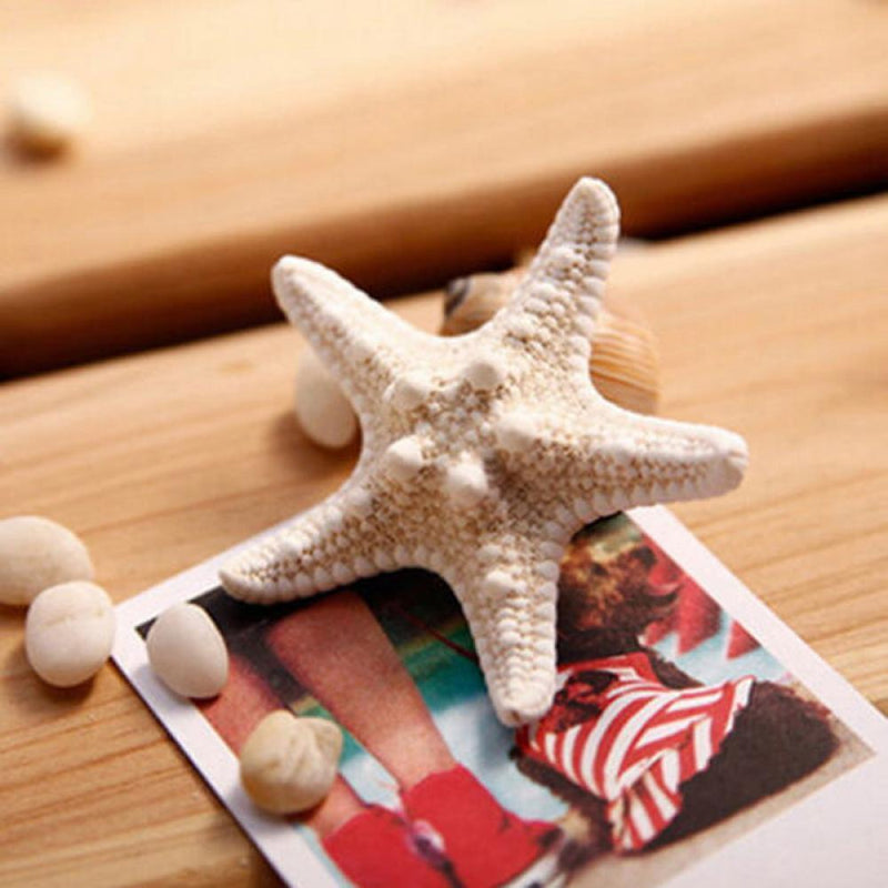 Elegant Beach Girls Lady Hairpin Star Sea Starfish Hair Clip Jewelry For 2 Pcs