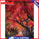 Molla bobina anteriore destra originale NAPA per Audi TT Quattro BFV 1.8 (03/05-06/06)