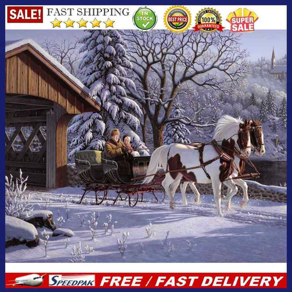 DIY Paint By Number Kit Snow Carriage Scenery Acrylic Paint Art Craft Ornamen