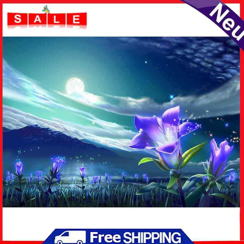 Night Landscape 50x40cm Oil Paint By Numbers Picture DIY