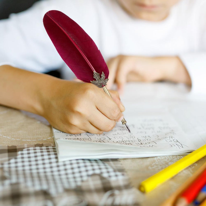 Retro Calligraphy Quill Feather Dip Pen Writing Ink Set Fountain Pens Gifts