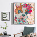 DIY 5D Mosaic Cat Rhinestone Drawing Part Special Shape Diamond Painting Kits
