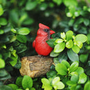 Ornament Yard Decoration Simulation Red Bird Courtyard Decor Tree Stump Bird