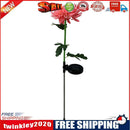 2pcs LED Solar Light Chrysanthemum Lawn Stake Lamps Garden Decor (Pink)
