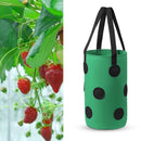 Felt Grow Bags Display Pockets DIY Hanging Strawberry Plant Bag (Green) Newly