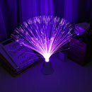 Colorful LED Optic Fiber Light Festival Atmosphere Night Lamp Valentine Decor