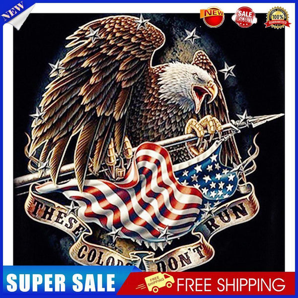 Eagle and Flag Frameless Oil Paint by Numbers Kit DIY on Canvas Picture Art