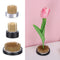 Arrangement Pin Frog Flower Fixed Tools Flower Arrangers Japanese Flower Holder
