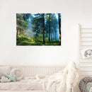 Painting By Numbers Kit DIY Wonderland Hand Painted Canvas Oil Art Picture