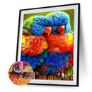 Full Round Diamond Painting DIY Kit 2 Rainbow Parrots Rhinestone Mosaic Picture