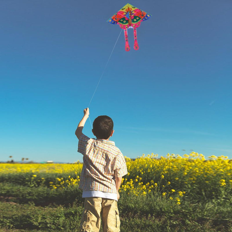 90x50cm Bright Cloth Colorful Butterfly Kite Outdoor Foldable Kites (A)