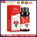 10ml/bottle Essential Oil for Humidifier Diffuser Aromatherapy Water-soluble Oil