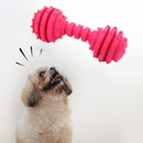 Dog Toys Pet Molar Teeth Stick Bite Sound Interactive Training Ball (Red) Newly