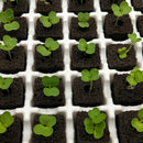 20x Soilless Hydroponic Sponge Planting Gardening Tools Sponge Seedling T9 E6B4
