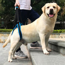 #A Adjustable Dog Leash Aid Assist Tool Lift Harness for Back Legs Pet Support