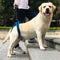 #A Adjustable Dog Leash Aid Assist Tool Lift Harness for Back Legs Pet Support