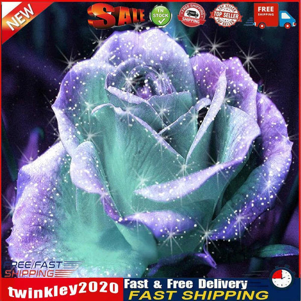 5D DIY Full Drill Diamond Painting Glitter Flower Cross Stitch Embroidery Newly