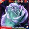 5D DIY Full Drill Diamond Painting Glitter Flower Cross Stitch Embroidery Newly
