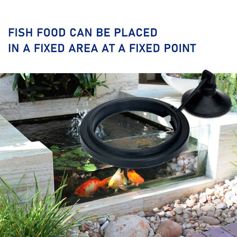 Fish Tank Floating Station Food Tray Aquarium Feeding Ring Buoyancy Suction Cup