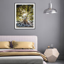 Life of Tree Oil Paint By Numbers DIY Coloring Picture for Adults Children