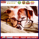 Educational Jigsaw Toys 1000pcs DIY Glasses Sleeping Dog Puzzle for Kids Ad