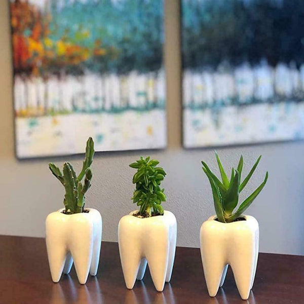 Tooth Shaped Ceramic Flower Pot Planter Plant Holder 7Y6R Succulen Flower Y0N9