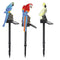 Solar Power LED Parrot Lawn Light Waterproof Garden Landscape Lamp (Red)