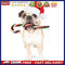 Christmas Puppy Oil Paint By Numbers DIY Coloring Picture for Adults Children