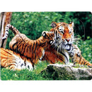 40 Slice Animal World Paper Cartoon Puzzle Educational Toys (1pc Random)