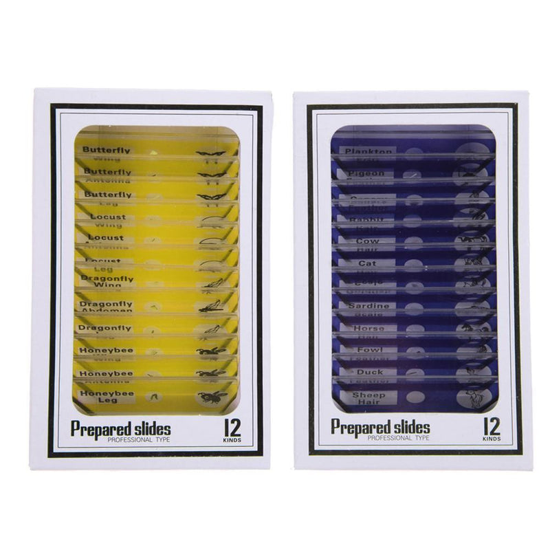 Prepared Plastic Microscope Slides Animals Insects Flowers Plants Student