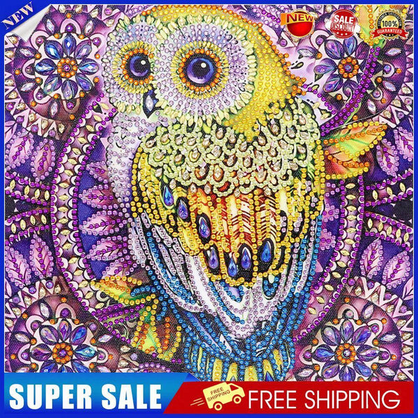 5D DIY Special Shaped Diamond Painting Owl Cross Stitch Mosaic Kit (R113)