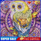 5D DIY Special Shaped Diamond Painting Owl Cross Stitch Mosaic Kit (R113)