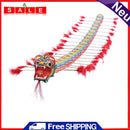 chebao Giant Colorful Dragons, Very Easy to Fly, Chinese Traditional