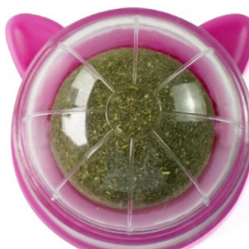 Catnip Ball Cat Toys Licking Teeth Chewing Pet Training Bite Balls (Purple)