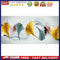 Color Ginkgo Biloba Oil Paint By Numbers Kit DIY Home Decoration Gift Wall Art