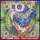5D DIY Special Shaped Diamond Painting Owl Embroidery Mosaic Kit Home Wall De