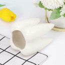 Cute Tooth Shaped Ceramic Succulent Cactus Flower Pot Furnishings` Home T2D9