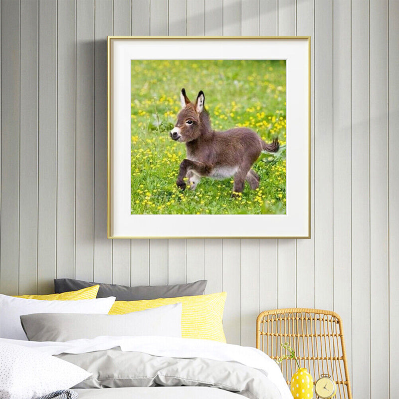5D DIY Diamond Painting Embroidery Donkey Full Round Drill Rhinestones Crafts
