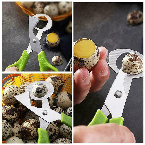 Pigeon Quail Egg Scissors Cracker Opener Cigar Cutter BEST Tool Steel