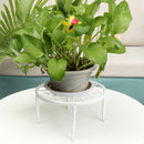 Home Decor Sturdy Bonsai Rack Display Shelf Flower Pot Stand Flowerpot Supports