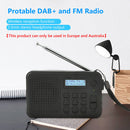 Multifunctional Digital Radio Wireless Reception Fm Radio Output with Antenna