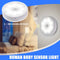 8Led Motion Sensor Light Wall Cabinet Stair Night Lamp Chargeable Lamp Lights_