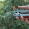 Plant Trim Garden Scissors Pruner Fruit Tree Orchard Pruning Shears Cutter