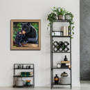 5D DIY Full Drill Diamond Painting Black Bear Embroidery Mosaic Handicraft Kit